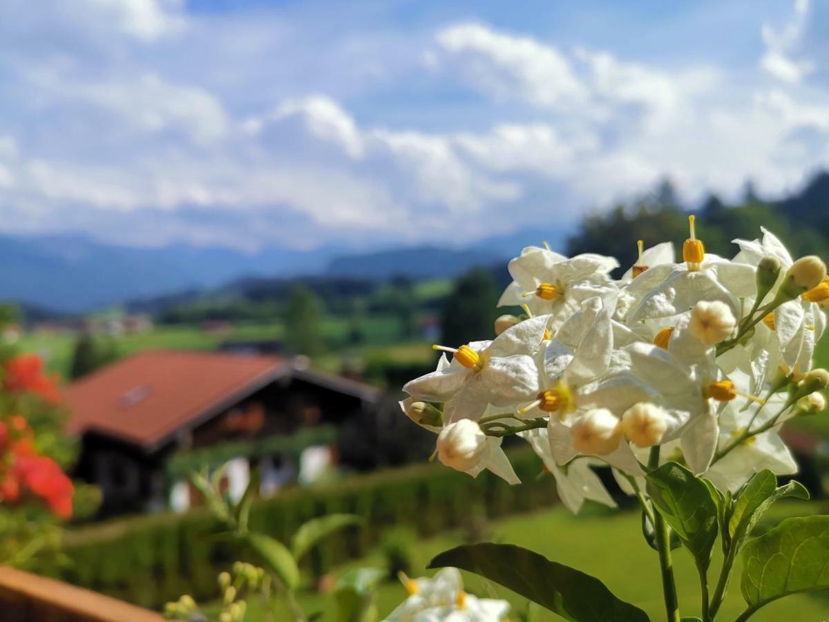 Ferienwohnung Edelweiss Болстерланг Екстериор снимка